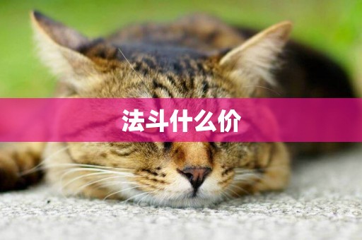 法斗什么價