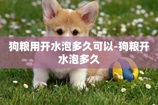 狗糧用開水泡多久可以-狗糧開水泡多久