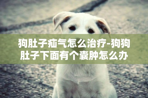 狗肚子疝氣怎么治療-狗狗肚子下面有個囊腫怎么辦