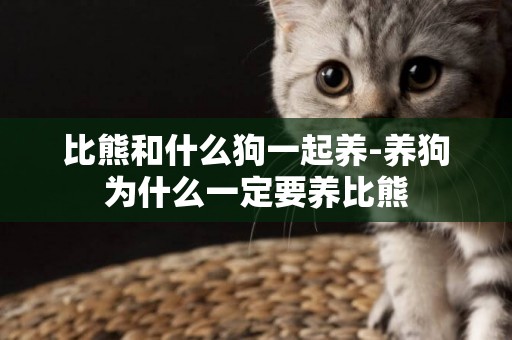 比熊和什么狗一起養-養狗為什么一定要養比熊