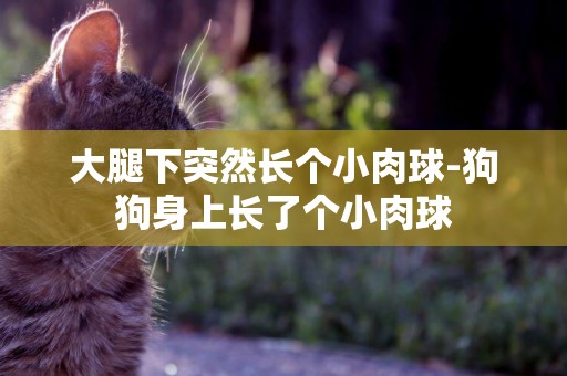 大腿下突然長個小肉球-狗狗身上長了個小肉球