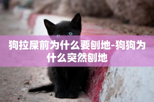 狗拉屎前為什么要刨地-狗狗為什么突然刨地