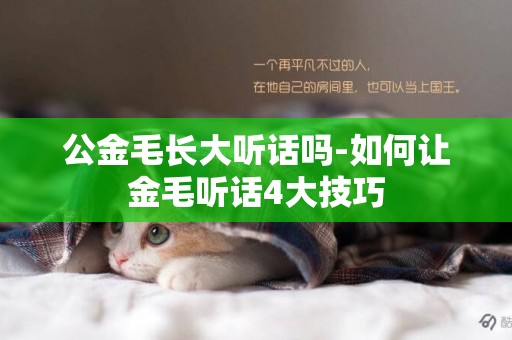 公金毛長大聽話嗎-如何讓金毛聽話4大技巧