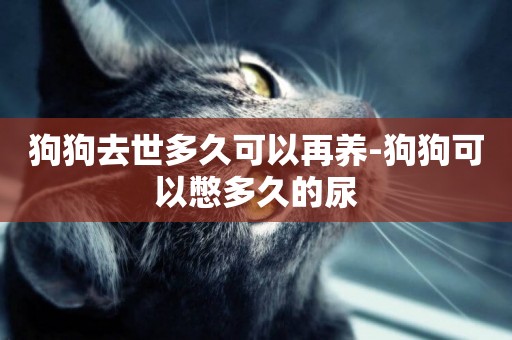 狗狗去世多久可以再養-狗狗可以憋多久的尿