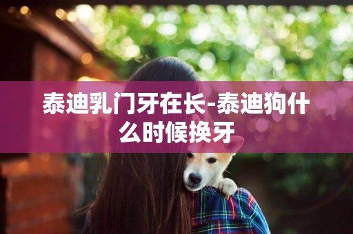 泰迪乳門牙在長-泰迪狗什么時候換牙