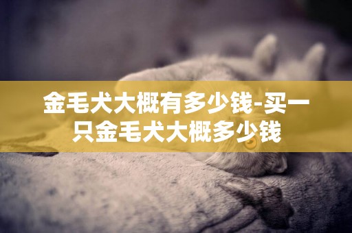 金毛犬大概有多少錢-買一只金毛犬大概多少錢