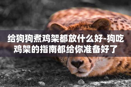 給狗狗煮雞架都放什么好-狗吃雞架的指南都給你準備好了
