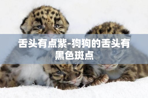 舌頭有點紫-狗狗的舌頭有黑色斑點