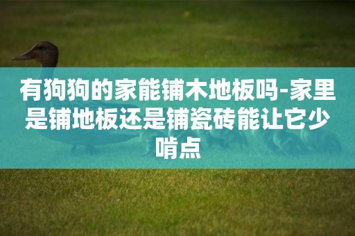 有狗狗的家能鋪木地板嗎-家里是鋪地板還是鋪瓷磚能讓它少啃點