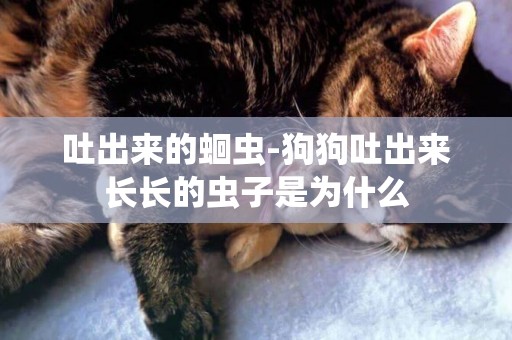 吐出來的蛔蟲-狗狗吐出來長長的蟲子是為什么