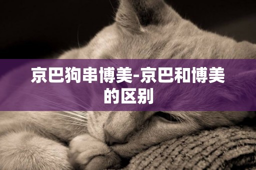 京巴狗串博美-京巴和博美的區別
