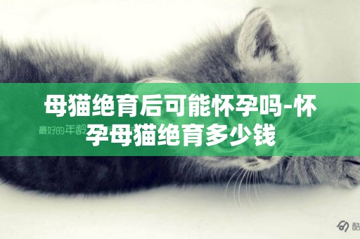 母貓絕育后可能懷孕嗎-懷孕母貓絕育多少錢