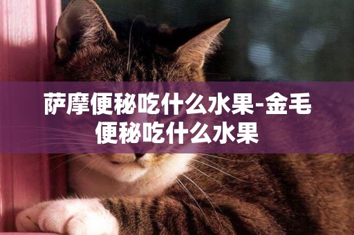 薩摩便秘吃什么水果-金毛便秘吃什么水果