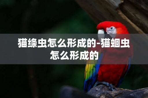 貓絳蟲怎么形成的-貓蛔蟲怎么形成的