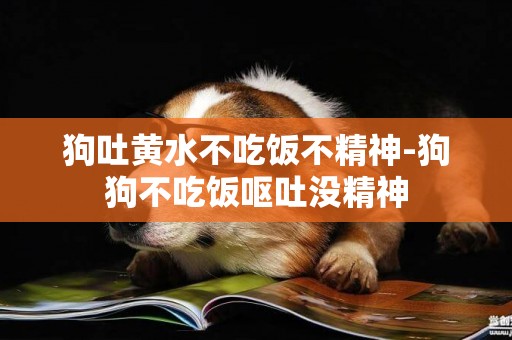 狗吐黃水不吃飯不精神-狗狗不吃飯嘔吐沒精神