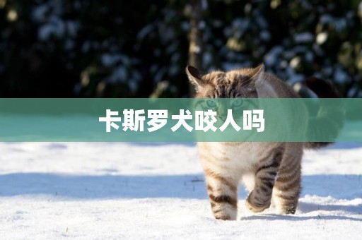 卡斯羅犬咬人嗎