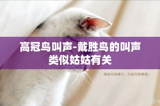 高冠鳥叫聲-戴勝鳥的叫聲類似姑姑有關