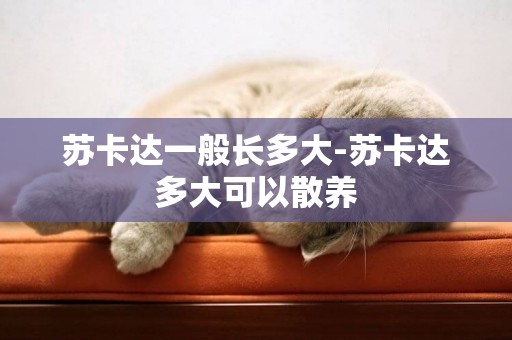 蘇卡達一般長多大-蘇卡達多大可以散養