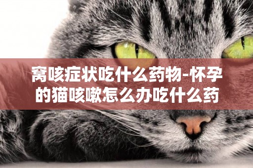 窩咳癥狀吃什么藥物-懷孕的貓咳嗽怎么辦吃什么藥