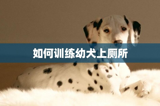 如何訓練幼犬上廁所