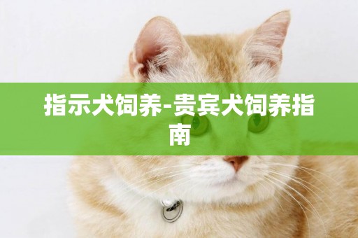 指示犬飼養-貴賓犬飼養指南