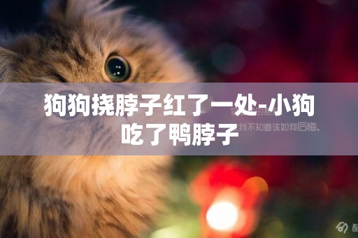 狗狗撓脖子紅了一處-小狗吃了鴨脖子