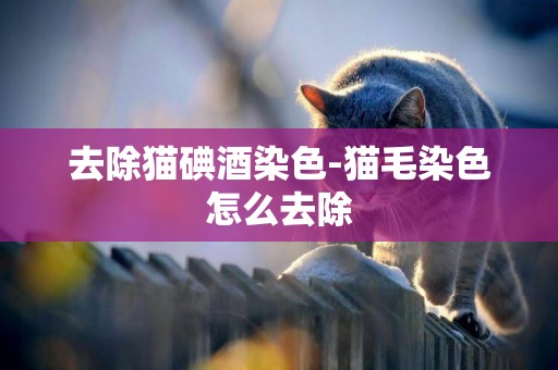 去除貓碘酒染色-貓毛染色怎么去除