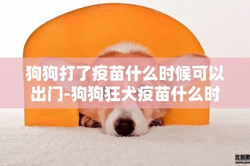 狗狗打了疫苗什么時候可以出門-狗狗狂犬疫苗什么時候打