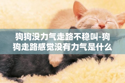 狗狗沒力氣走路不穩叫-狗狗走路感覺沒有力氣是什么原因