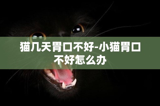 貓幾天胃口不好-小貓胃口不好怎么辦