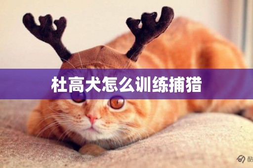 杜高犬怎么訓練捕獵