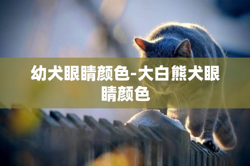 幼犬眼睛顏色-大白熊犬眼睛顏色