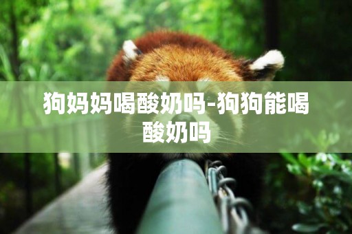狗媽媽喝酸奶嗎-狗狗能喝酸奶嗎