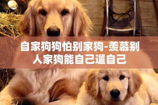自家狗狗怕別家狗-羨慕別人家狗能自己遛自己
