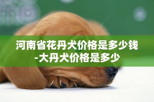 河南省花丹犬價格是多少錢-大丹犬價格是多少