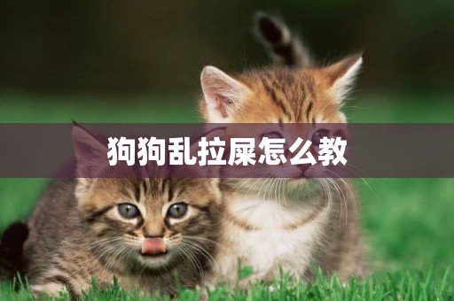 狗狗亂拉屎怎么教