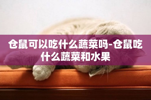 倉鼠可以吃什么蔬菜嗎-倉鼠吃什么蔬菜和水果