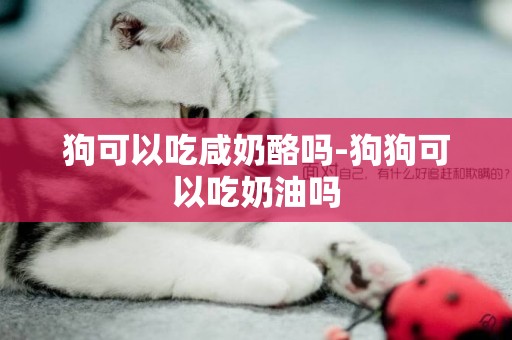 狗可以吃咸奶酪嗎-狗狗可以吃奶油嗎
