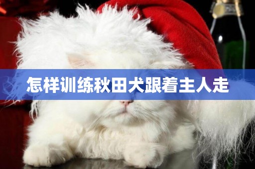 怎樣訓練秋田犬跟著主人走