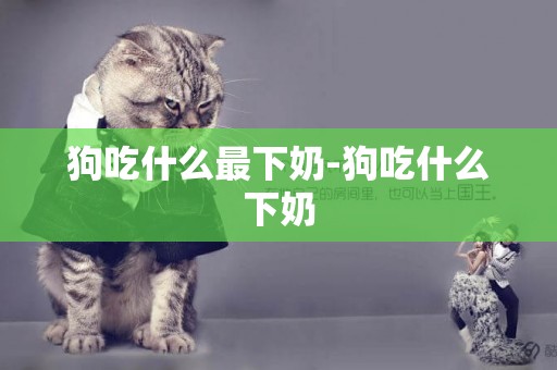 狗吃什么最下奶-狗吃什么下奶