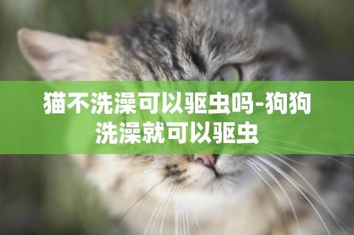 貓不洗澡可以驅蟲嗎-狗狗洗澡就可以驅蟲