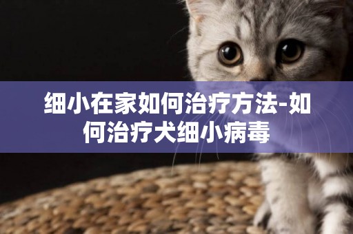 細小在家如何治療方法-如何治療犬細小病毒
