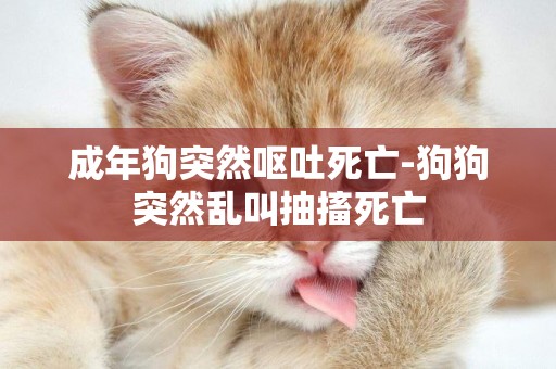 成年狗突然嘔吐死亡-狗狗突然亂叫抽搐死亡