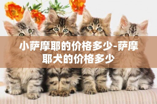 小薩摩耶的價格多少-薩摩耶犬的價格多少