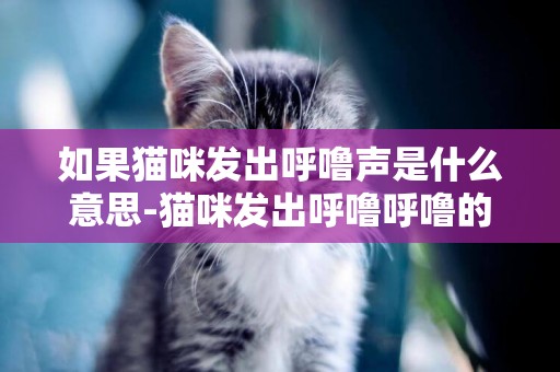 如果貓咪發出呼嚕聲是什么意思-貓咪發出呼嚕呼嚕的聲音是什么意思
