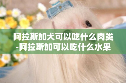 阿拉斯加犬可以吃什么肉類-阿拉斯加可以吃什么水果