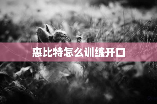 惠比特怎么訓練開口