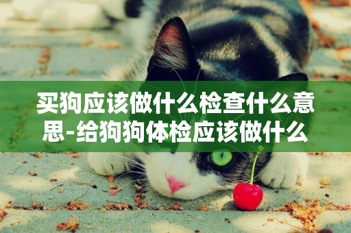 買狗應該做什么檢查什么意思-給狗狗體檢應該做什么檢查