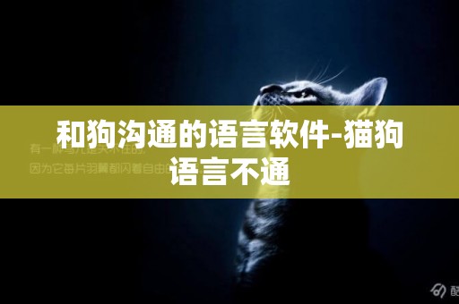 和狗溝通的語言軟件-貓狗語言不通