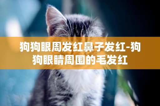 狗狗眼周發紅鼻子發紅-狗狗眼睛周圍的毛發紅